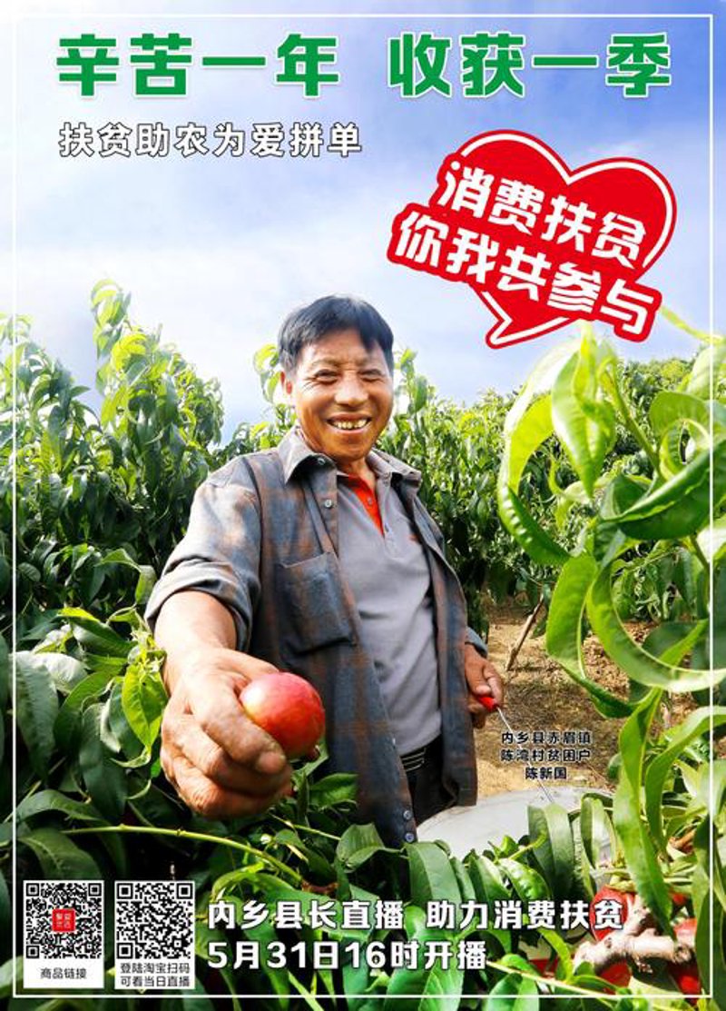 探寻内乡县市场营销的新航路——聚焦专业营销策划公司